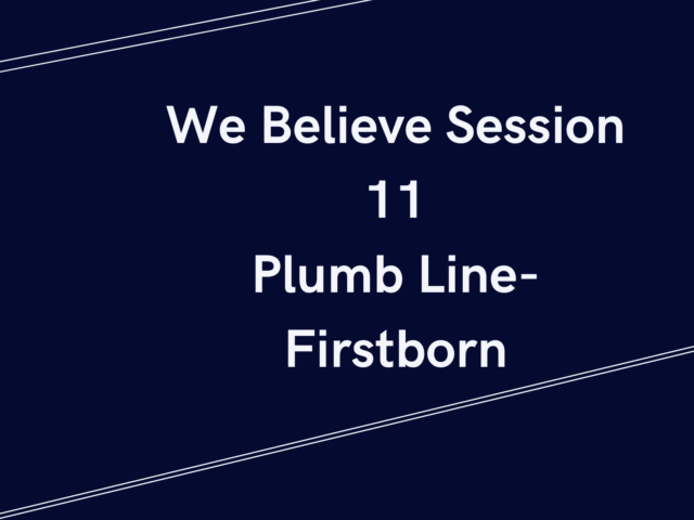 WE BELIEVE—Plumb Line Session 11 Firstborn Status.
